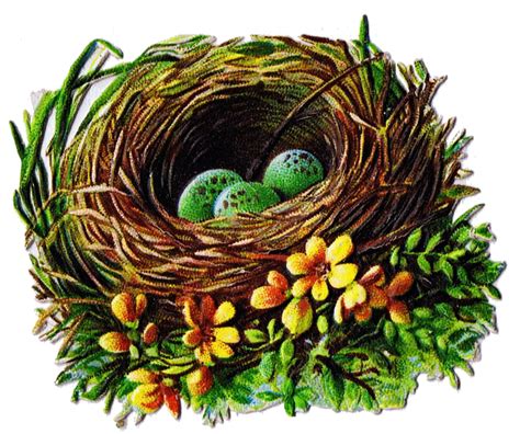 Bird Nest And Egg Graphics 5 Antique Die Cut Images Printables