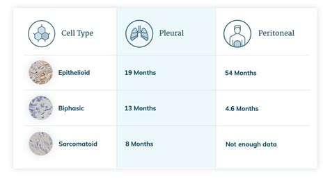 Maybe you would like to learn more about one of these? Mesothelioma Life Expectancy | How Long Do Patients Live?
