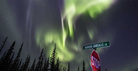 Can You See The Northern Lights In Fairbanks August