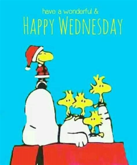 Pin By Christine Mast Kivett On Hump Day Wednesdays Snoopy Quotes
