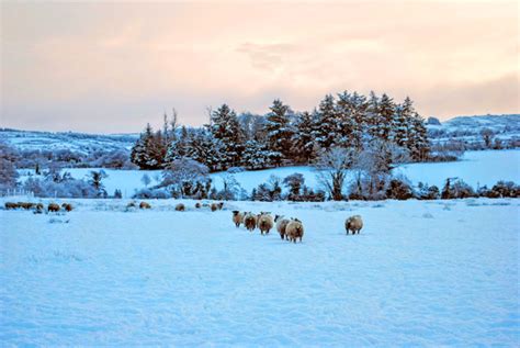 Winter In Ireland All You Need To Know Wilderness Ireland