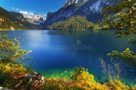 Gosausee Stock Photo Image Of Green Fall Alps Landscape 61096360