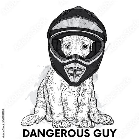 Funny Dog In A Motorcycle Helmet Vector Illustration For A Postcard