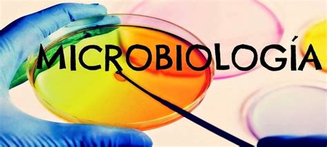 Historia De La Microbiologia Timeline Timetoast Timelines