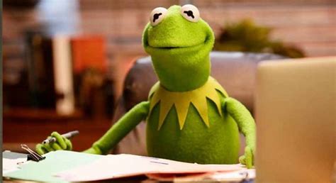 Kermit The Frog Gets A New Voice Expat Media