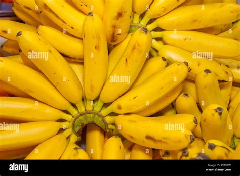 Bunch Of Ripe Bananas At A Street Market In Ecuador Stock Photo Alamy