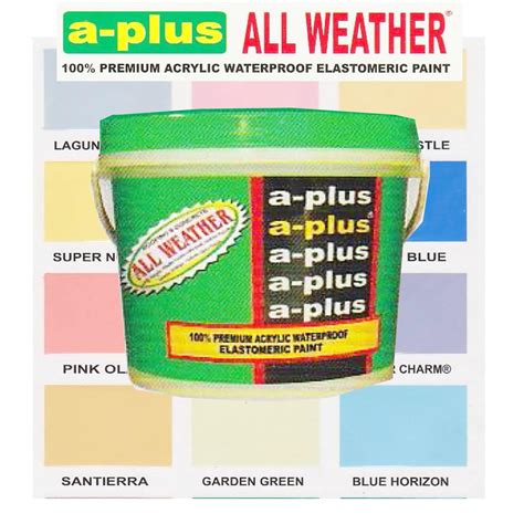 A Plus All Weather 100 Premium Acrylic Waterproof Elastomeric Paint