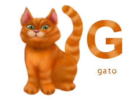Lista 93 Imagen 5 Palabras Con G De Gato Alta Definición Completa 2k 4k