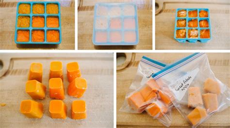6 Ways To Freeze Homemade Baby Food How To Freeze Baby Food