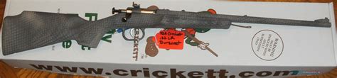 Crickett My First Rifle Custom Sn For Sale At