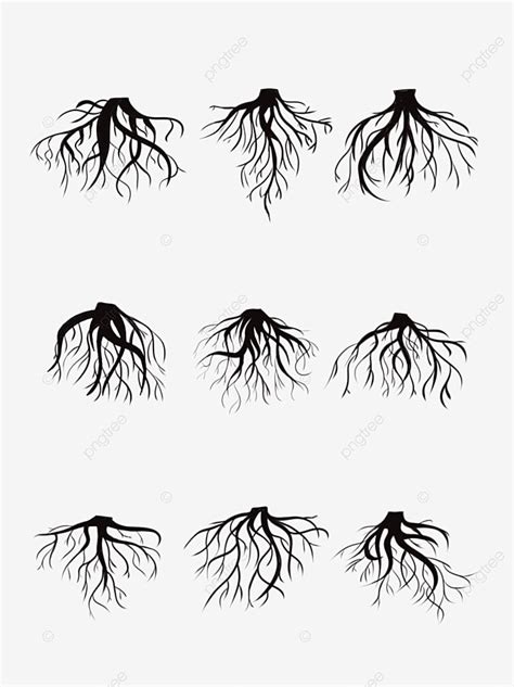 Oak Tree Roots Silhouette Png Transparent Black Tree Root Silhouette
