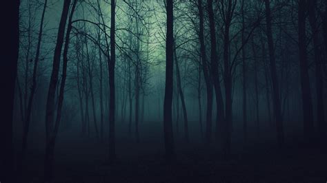 🥇 Dark Night Forest Fog Mysterious Wallpaper 19209