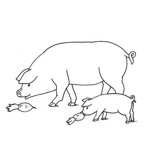 Ausmalbild 50 Niedliche Bauernhof Motive Zum Ausmalen Schweine Auf