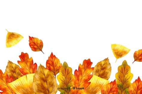 Premium Vector Realistic Autumn Leaves On A Light Background Vector