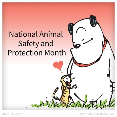 Its National Animal Safety And Protection Month What Are You Doing To