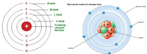 M8 S7 Bohrs And Rutherfords Atomic Models And Their