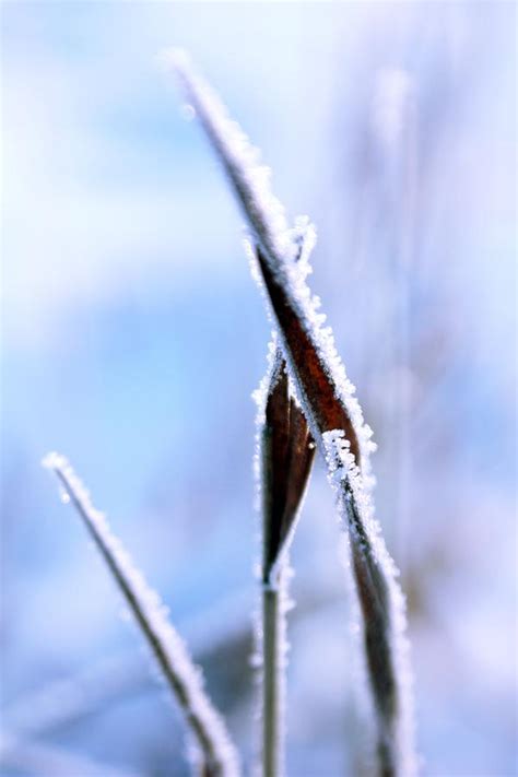 The Magic Of Winter 3 Photograph By Joanna Machel Fine Art America