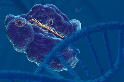 Using Crispr Gene Editing Technology As A Research Tool To Develop Cancer Treatments