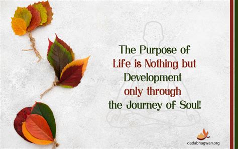 Journey Of Soul Destiny Of Souls The Souls Journey Into God