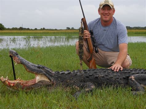 Florida Alligator Hunt Photos Florida Alligator Hunts Big O Hunts