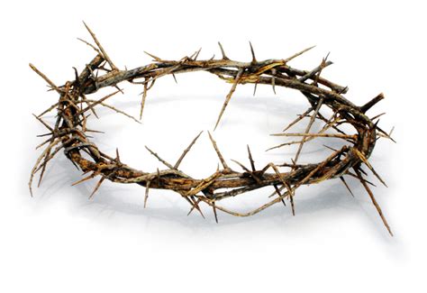 The Crown Of Thorns That Jesus Wore King David
