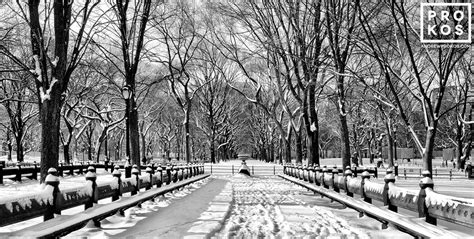 Central Park Benches In Winter Bandw Fine Art Photo By Andrew Prokos