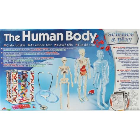 Clementoni Science And Play The Human Body