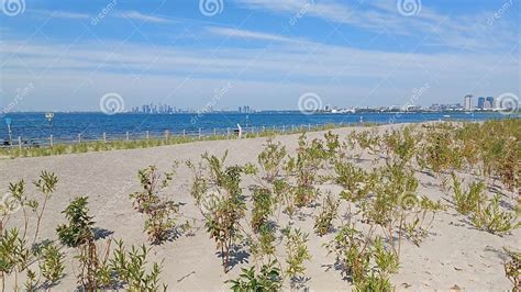 Hanlan S Point Nude Beach View On Toronto Islands Stock Image Image