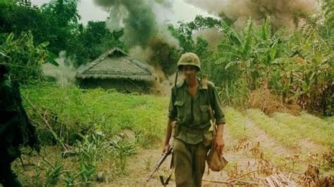 129 Pics In Album My High Quality Color Vietnam War Album Warning