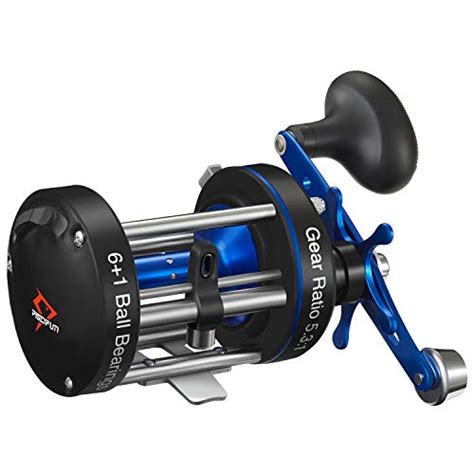 Best Spinning Reels For Surf Casting 10Reviewz