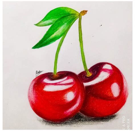 Red Cherry Realistic Drawings Colored Pencils