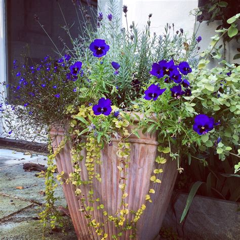 Your Best Garden Pots Ever 6 Tips For Brilliant Container Gardening