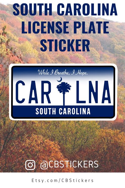 South Carolina License Plate Vinyl Decal South Carolina Etsy