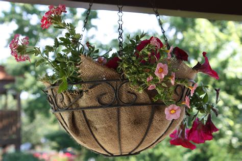 Top Notch Hanging Baskets And Liners Pot Holder For Plants