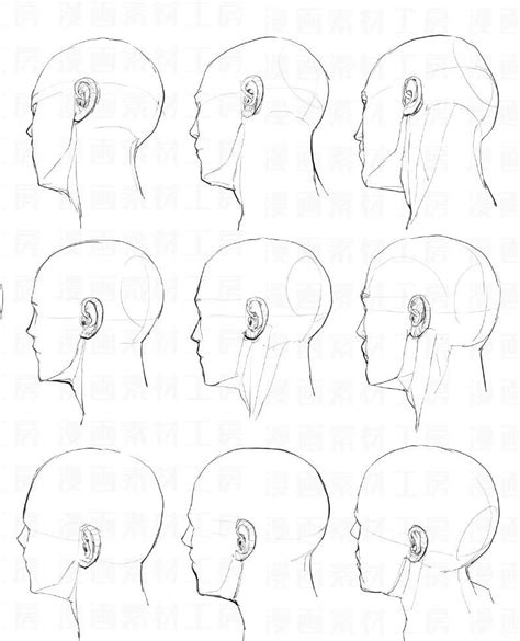 人体头部素材头部不同角度的画法 绘画