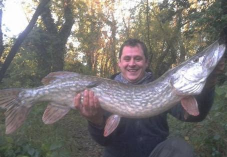 Fish caught at tonbridge river medway | Angler's Mail