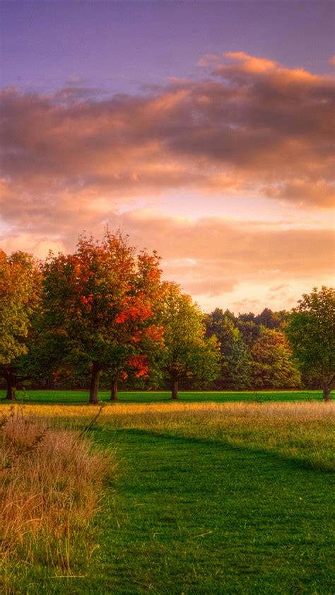 Nature Landscape Autumn Sunrise Forest Clouds Iphone X