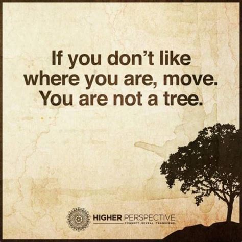You Are Not A Tree Quote If You Dont Like Where You Are Move You