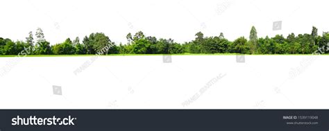View High Definition Treeline Isolated On Stock Photo 1539119048