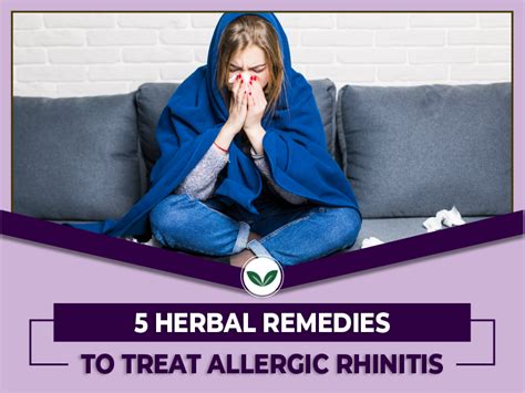 5 Herbal Remedies To Treat Allergic Rhinitis Ayushakti Best