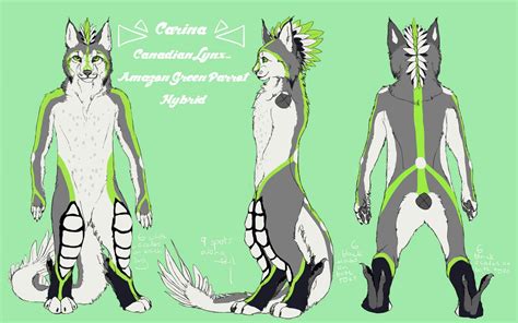 Karina Reference Sheet Open For Ref Commissions Furry Amino
