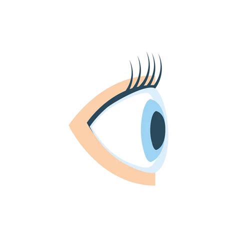Parts Of The Eye Animation Clipart