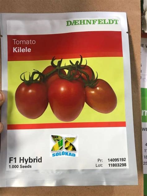 Kilele F1 Hybrid Tomato Seeds 1000 Seedspack Farmsquare