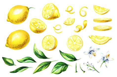 Fresh Lemon Watercolor Collection