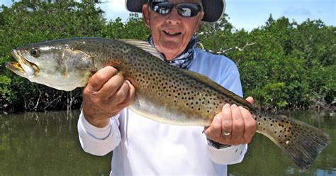 Survival Plan Is There A Future For Southwest Floridas Fishing