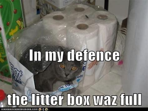 When The Litterbox Is Full There Have To Be Options Litter Box