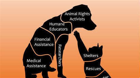 Petition · Animal Welfare And Rights ·