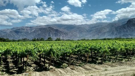 One Of Argentinas Best Kept Secrets Has To Be The Cafayate Wine Region In Salta North