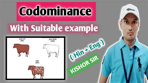 Codominance With Suitable Example Definition Example Ratio Bio Class Kishor Sir