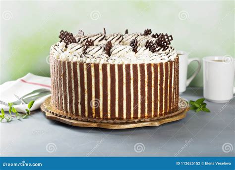 Tiramisu Cake With Chocolate Decor Stock Photo Image Of Chocolate